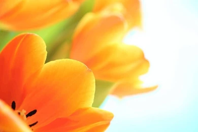 Nature Wallpapers, Hd Desktop Images, Natural, Sky, Landscape ...