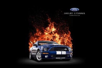 Wallpapers   Ford Racing Performance Parts