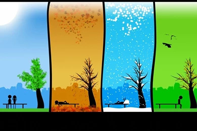 Wonderwall Vector Wallpapers < Vector < Gallery < Desktop Wallpapers