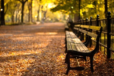 Garden Hd Wallpapers ›› Page 0