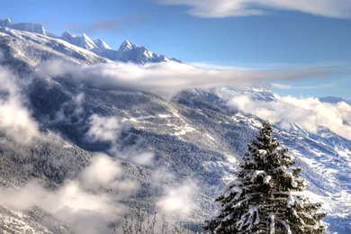 Winter Wallpapers Full Hd Wallpapers   36263