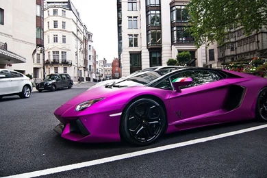 1366x768 Purple Lamborghini Park Wallpapers