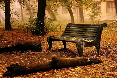 Autumn Backgrounds Pictures   Wallpapers HD Base