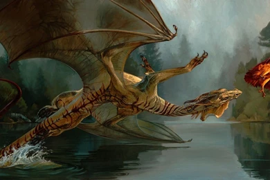 War Dragon Fantasy Eagle Water Animal Nature Wallpapers