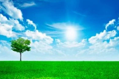 Full Size HD Wallpapers For PC   Wallpapers Cave