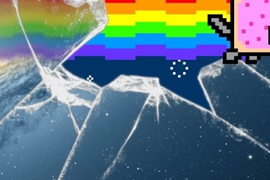 Cat iPhone 5s Wallpapers