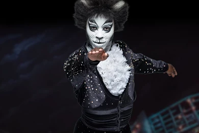 iPhone Wallpapers   Cats The Musical
