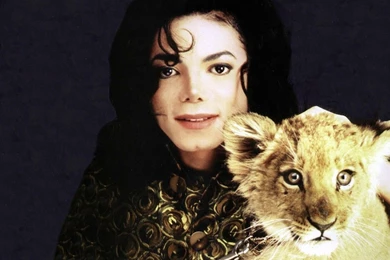 Free Wallpapers   Free Star Wallpapers   Michael Jackson 1 Wallpapers ...