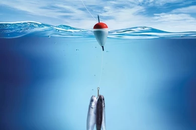 Fishing ipad backgrounds