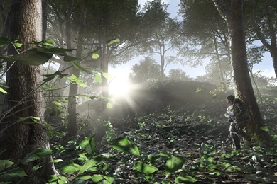 Battlefield 4 Soldier In The Forest Wallpapers And Images ...