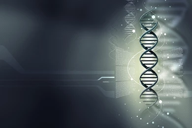 DNA 3 d Structure Molecule Pattern Abstraction Genetic Psychedelic ...