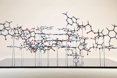 DNA 3 d Structure Molecule Pattern Abstraction Genetic Psychedelic ...