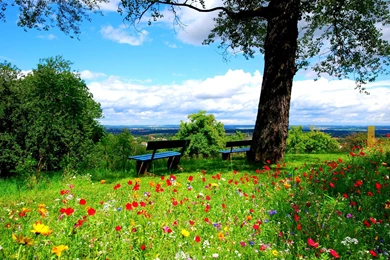 Dream Spring 2012   Peaceful Place Wallpapers   HD Wallpapers 96622