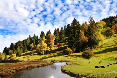 Peaceful Nature Pictures   Wallpapers HD Fine