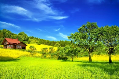 Dream Summer 2012   Peaceful Place Wallpapers   HD Wallpapers 96355