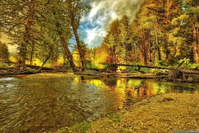 Autumn Woods Wallpapers   Seasonal   Crazy Frankenstein