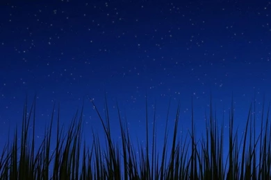 1280x1024 Android 3.0 Night Wallpapers Desktop PC And Mac Wallpapers