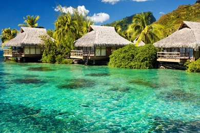 Tiki Huts Wallpapers Desktop Hd 1280x1024 Notebook/LCD Wallpaper