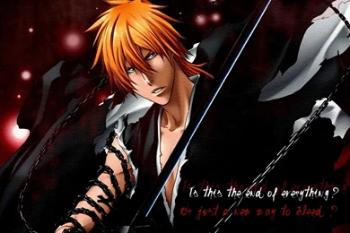 Bleach Best Wallpapers: Final Getsuga Tenshou