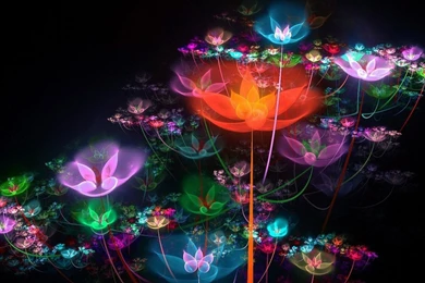 Download Solid White Wallpapers Free