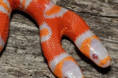 Beautiful And Amazing Wallpapers Hd 1080p For Android, Desktop ...