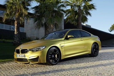 2015 Bmw M4 Sport Best Gallery
