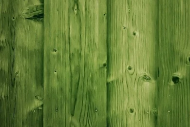 Green Wood iPhone 5s Wallpapers Download