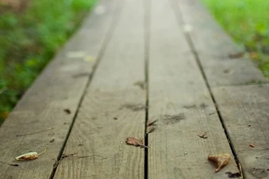 Wooden Road iPhone 5 Wallpapers