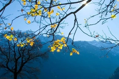 Autumn Schachental Switzerland iPhone 4s Wallpapers Download ...