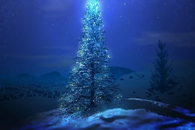 Christmas Tree Wallpapers HD Pictures