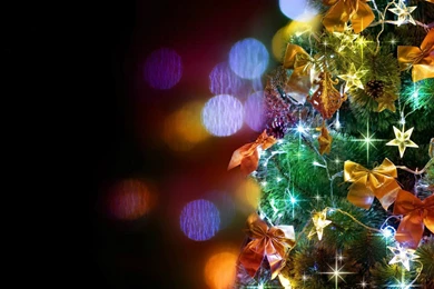 Xmas Tree Full HD Wallpapers   FullHD.in