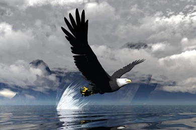 Animal Wallpapers High Quality Resolution 2E9   WallPey