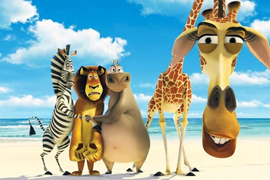 Funny Cartoons Wallpapers   Hemslojdsgoten