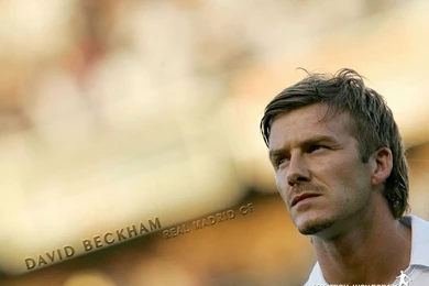 David Beckham Wallpapers
