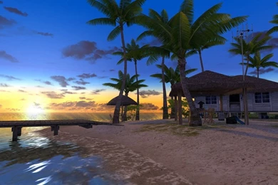 Endless Ocean: Blue World   GameSpot