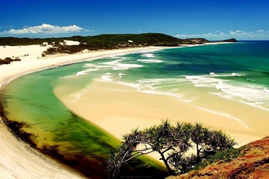 Indian Beach   1749860