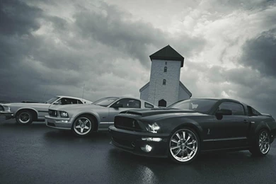 Ford Mustang Ford Gt500 Black Ford Mustang Blanco Wallpapers ...