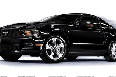 Black Ford Mustang 3 Cool Hd Wallpapers   Hdblackwallpaper.com