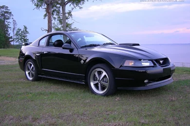 Ford Mustang Wallpapers & Mustang Backgrounds