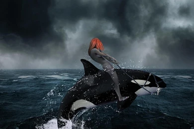 Fantasy Hd Wallpapers Hd Free 3D