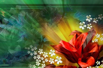 Download Free Animated Wallpapers