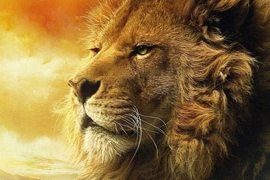 1280x800px Cuddly Lion Images Hd