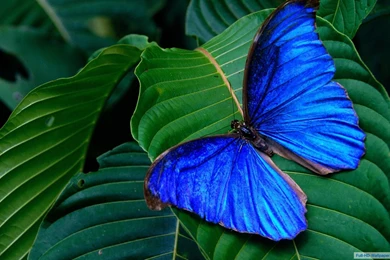 Top 2560x1600 Wallpapers   Page 8