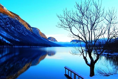 Mountains Landscapes Nature Lone Tree Natural Scenery Pure Blue ...