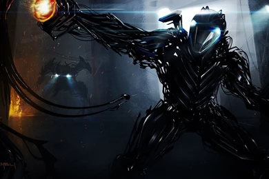 Assassins Creed Warrior Warriors Wallpapers