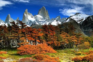 Free Autumn Wallpapers For Desktop   Wallpapers Cave