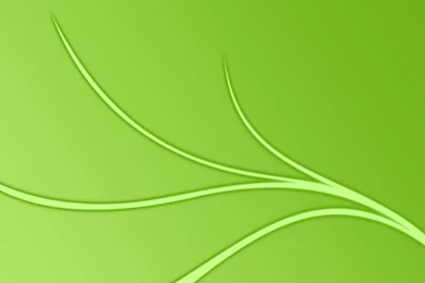 Mint Green Wallpapers   Wallpapers HD Wide