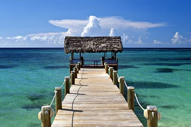 Free 1080P Wallpapers   HD Wallpapers Lovely