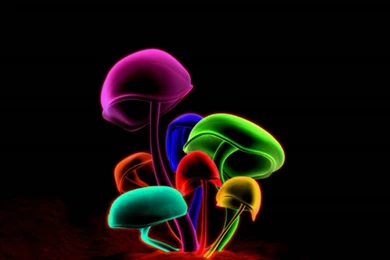 Shroom Backgrounds   Wallpapers Cave
