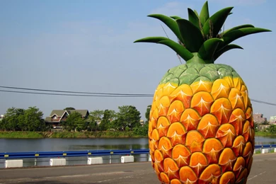 Pineapple Desktop Wallpaper, Pineapple Images Free, New Wallpapers